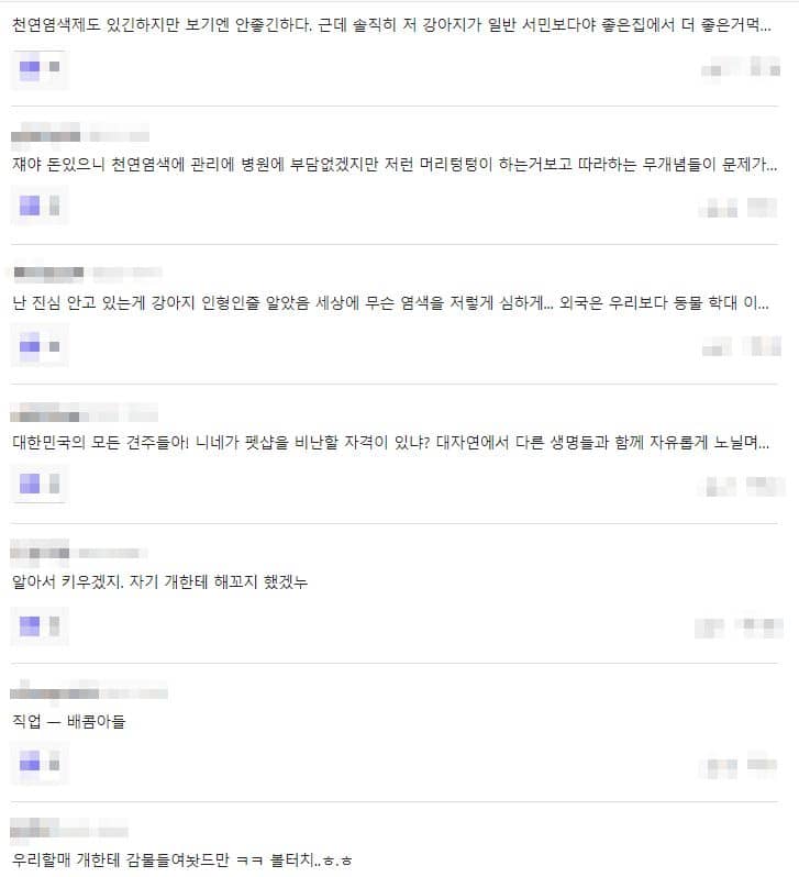 니콜라와 그의 남편 브루클린 베컴의 동물학대 논란에 대한 네티즌 반응